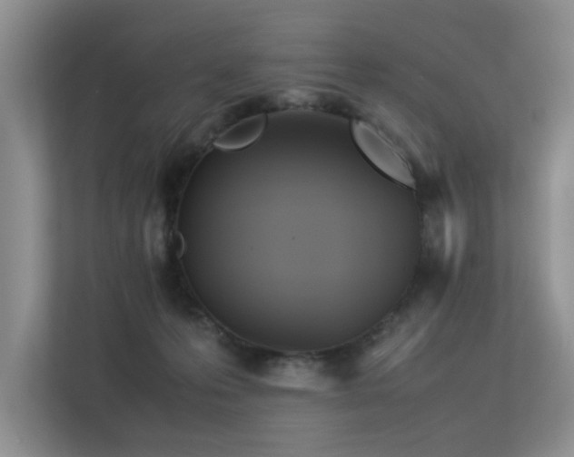 X0000113350223200909151200