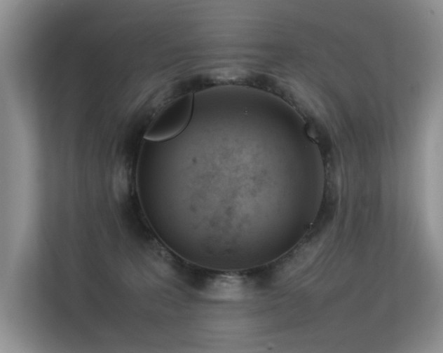 X0000113350227200909151200
