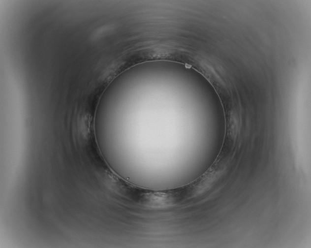 X0000113350230200909151200