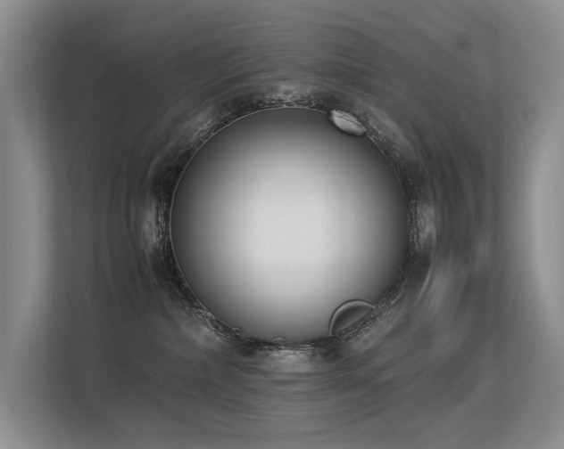 X0000113350236200909151200