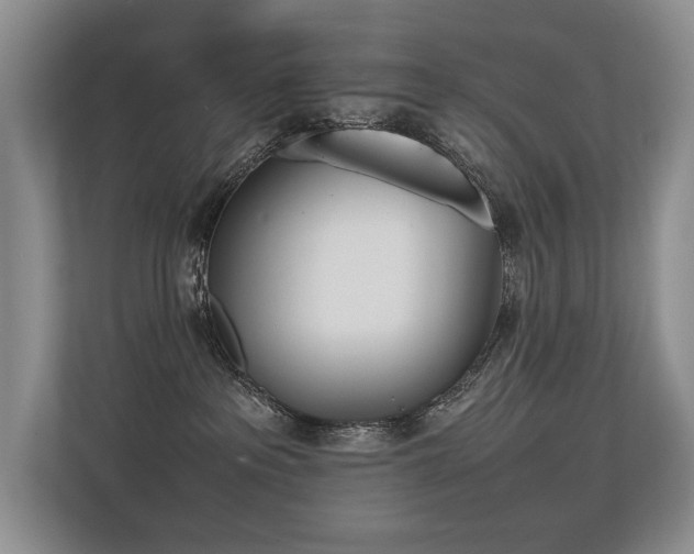 X0000113350237200909151200
