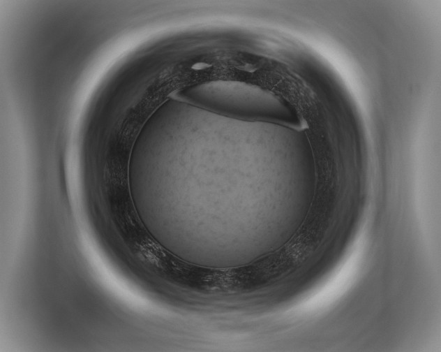X0000113350239200909151200