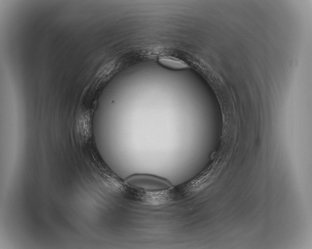 X0000113350240200909151200