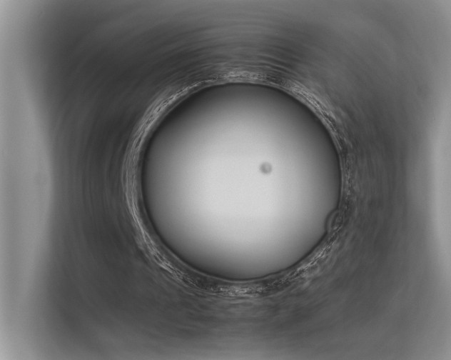 X0000113350241200909151159
