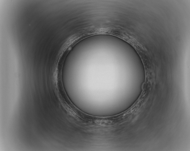 X0000113350242200909151159