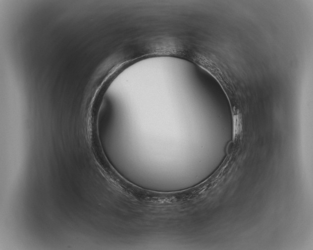 X0000113350243200909151159