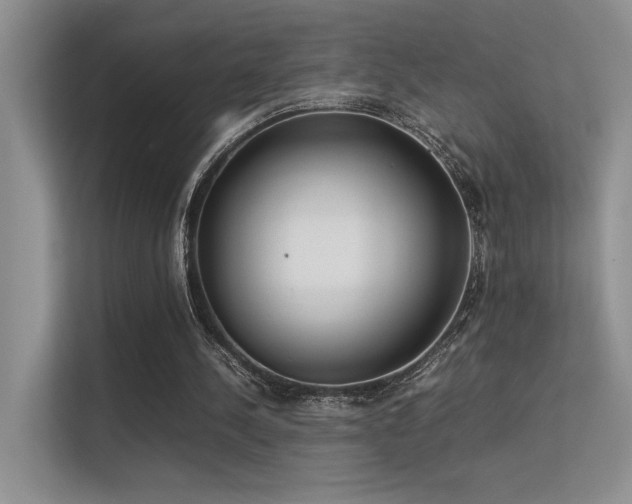 X0000113350244200909151159