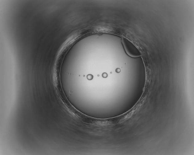 X0000113350245200909151159