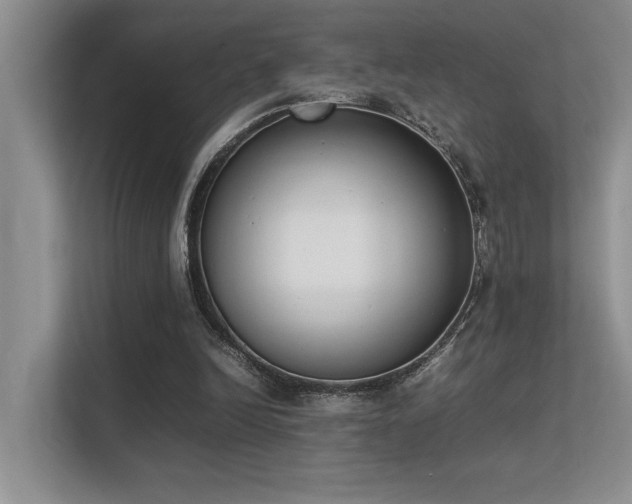 X0000113350246200909151159