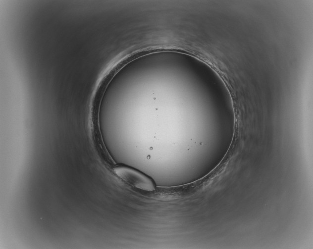 X0000113350248200909151159