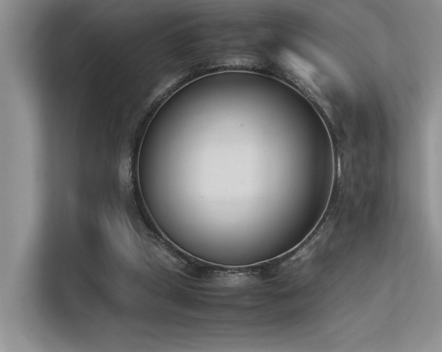 X0000113350249200909151159
