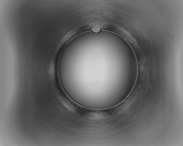 X0000113350250200909151159