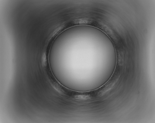 X0000113350251200909151159