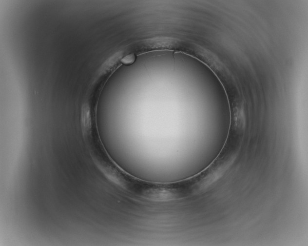 X0000113350254200909151159