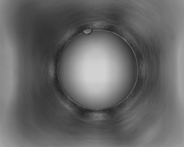 X0000113350255200909151159