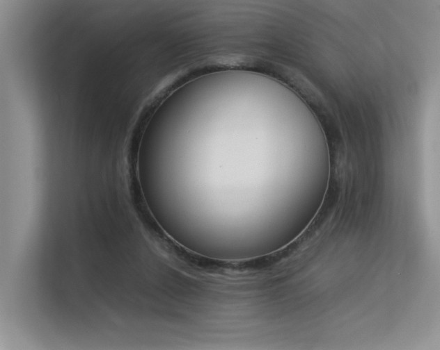 X0000113350256200909151159