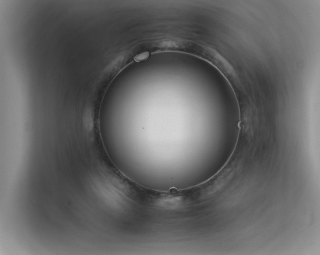 X0000113350257200909151159