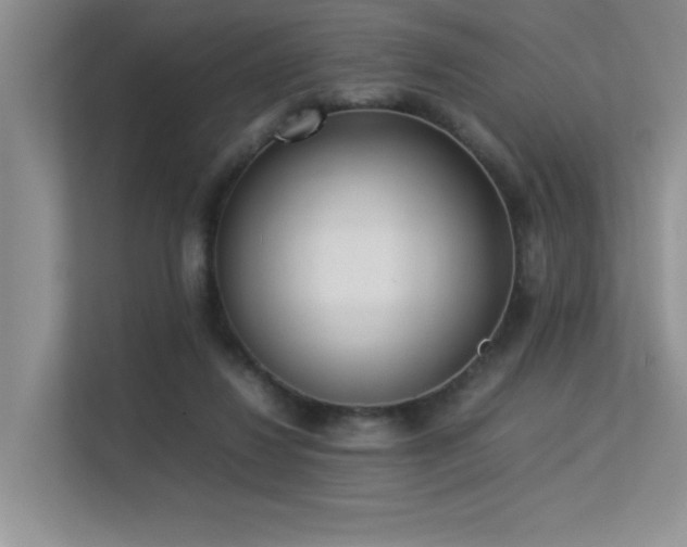 X0000113350260200909151159