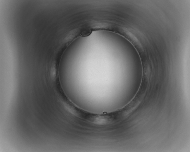 X0000113350261200909151159