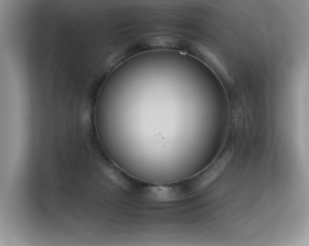 X0000113350265200909151159