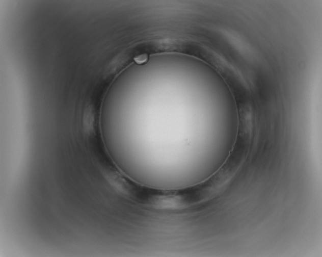 X0000113350266200909151159