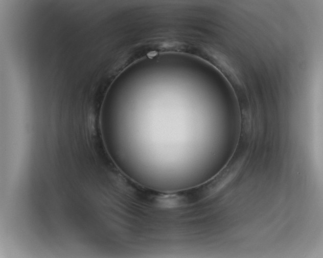 X0000113350269200909151159