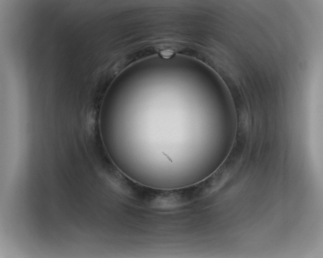 X0000113350271200909151159