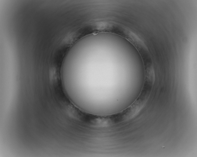 X0000113350272200909151159
