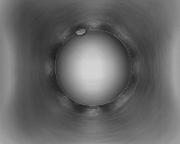 X0000113350274200909151159