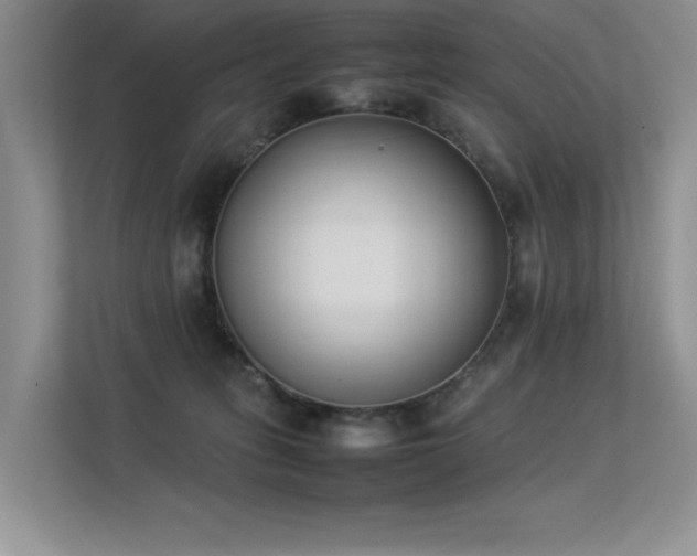 X0000113350275200909151159