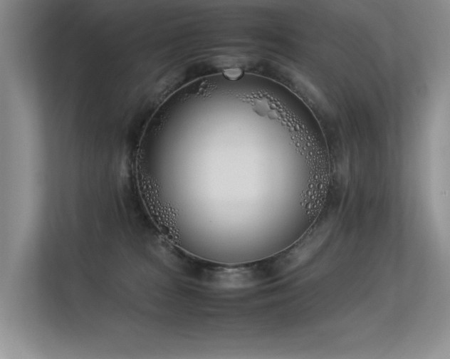X0000113350277200909151159