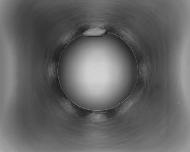 X0000113350280200909151159