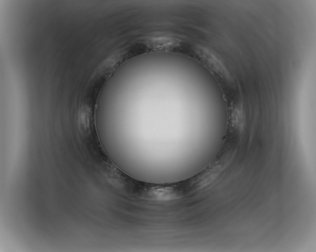 X0000113350283200909151159