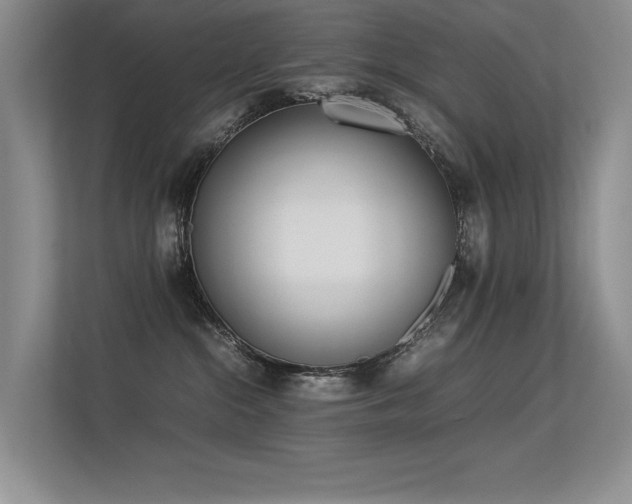 X0000113350284200909151159