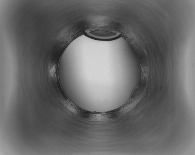X0000113350286200909151200