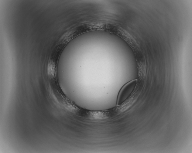 X0000113350287200909151200