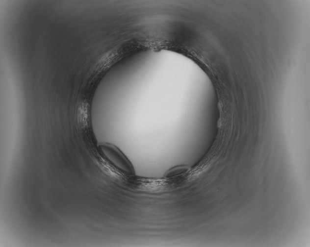X0000113350288200909151200