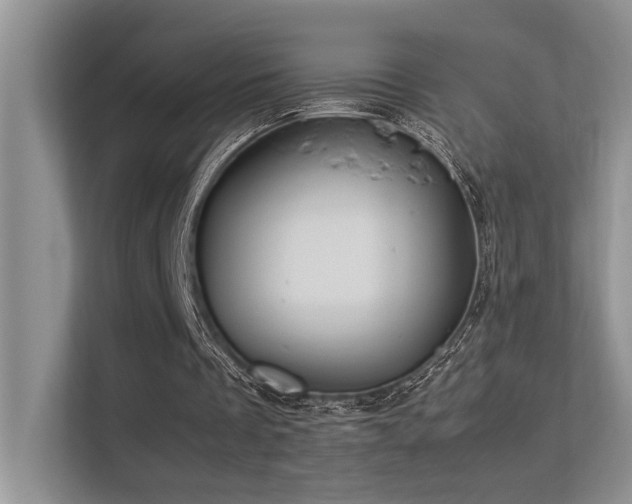 X0000113350289200909151159