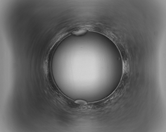 X0000113350291200909151159