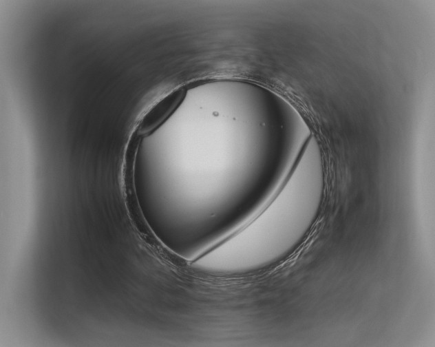 X0000113350292200909151159
