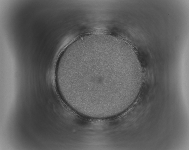 X0000113350293200909151159