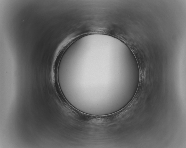 X0000113350294200909151159
