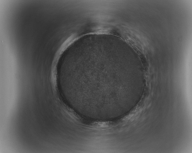 X0000113350295200909151159