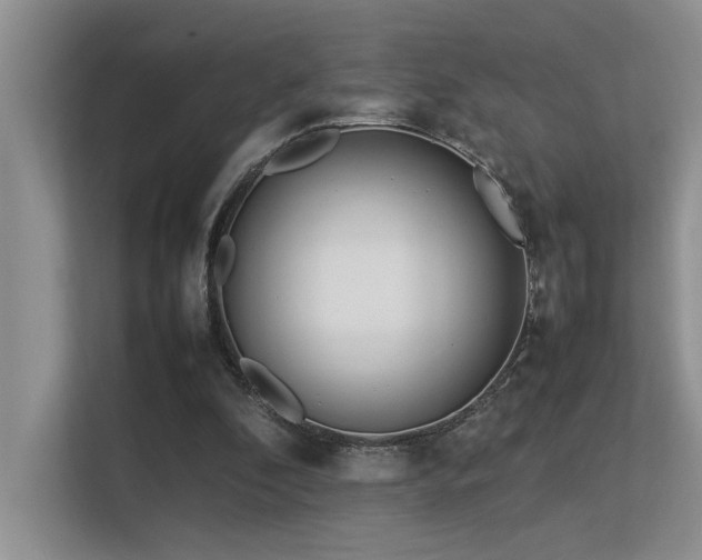 X0000113350296200909151159