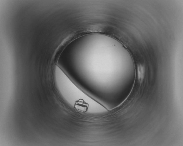 X0000113350300200909151159