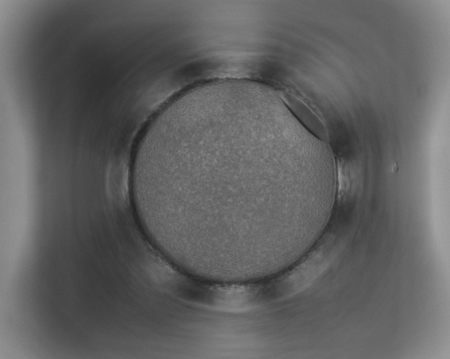 X0000113350301200909151159