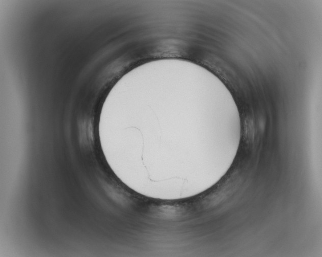 X0000113350302200909151159