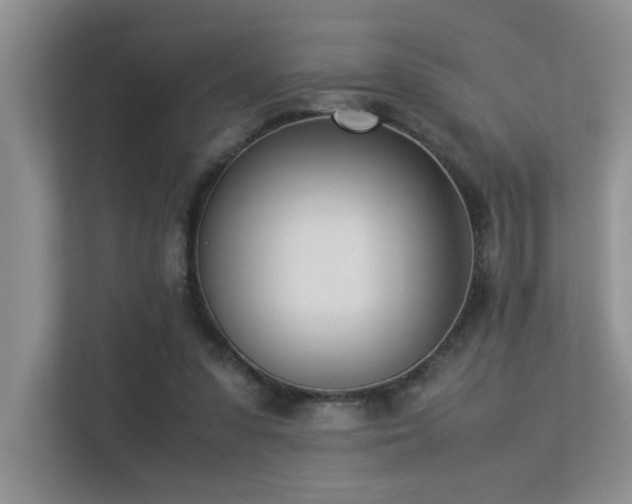 X0000113350303200909151159
