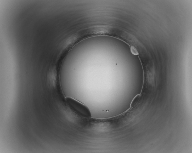 X0000113350304200909151159