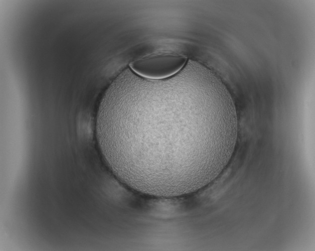 X0000113350305200909151159